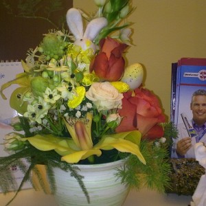 Stomatoloska_ordinacija_Aleksandrija-169